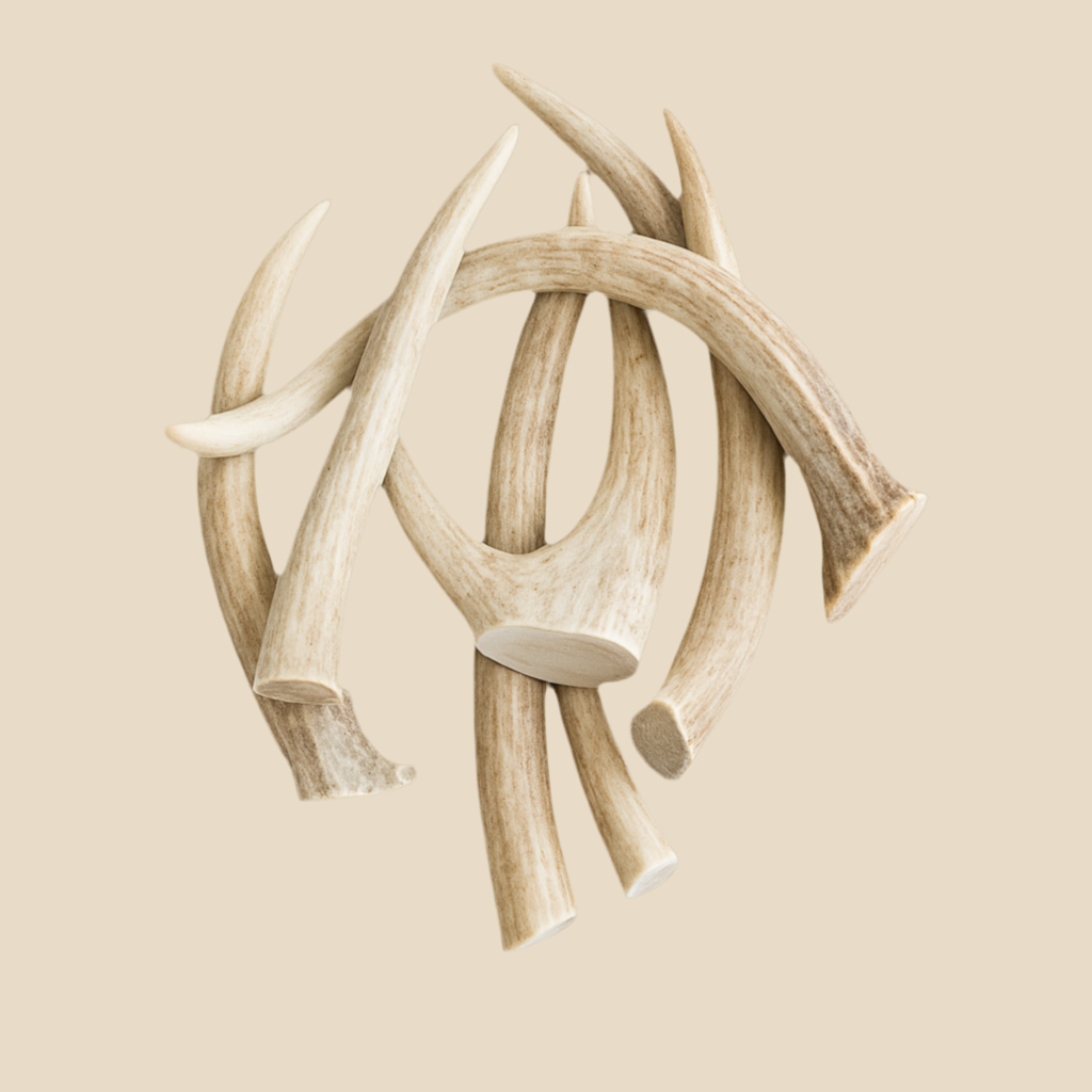 1lb pack of Medium Cut Antler Dog Chews